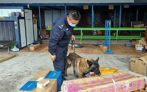 警犬查缉新闻配图03_副本