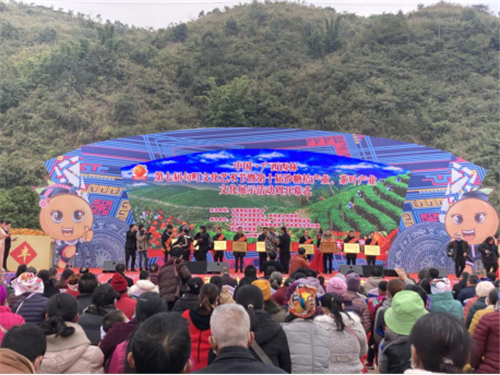 广西西林县反邪教宣传融入第七届句町文化节913