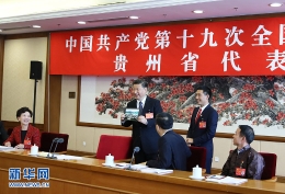 习近平参加党的十九大贵州省代表团讨论